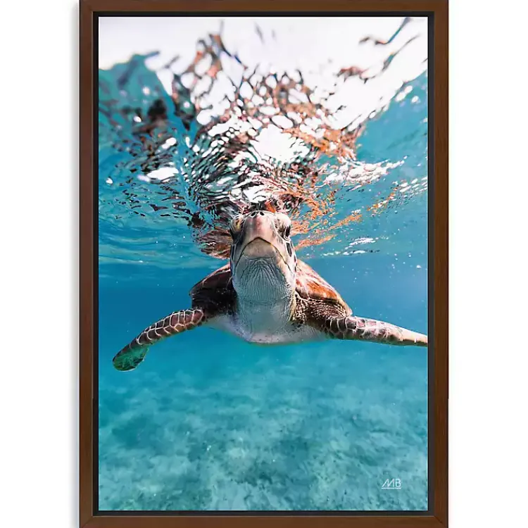 Canvas Art-Kirklands Home Hello Turtle Framed Canvas Art Print