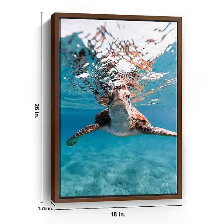 Canvas Art-Kirklands Home Hello Turtle Framed Canvas Art Print